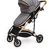 Coche Moises Madisson Maxibaby