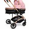 Coche Moises Madisson Maxibaby