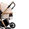 Coche Moises Spider Maxibaby