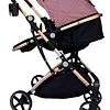 Coche Moises Small Maxibaby